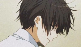 怦然心动动漫,青春校园的甜蜜旋律